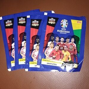 UEFA euro2024 germany cards